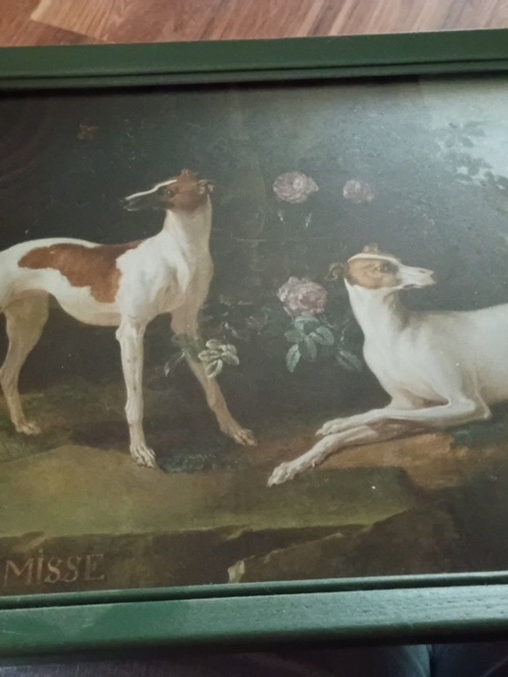 Misse And Tvrlu